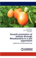 Growth promotion of tomato through Rhizobacteria in a pot experiment