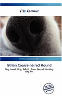 Istrian Coarse-Haired Hound