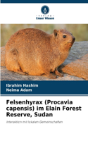 Felsenhyrax (Procavia capensis) im Elain Forest Reserve, Sudan