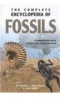 Complete Encyclopedia of Fossils