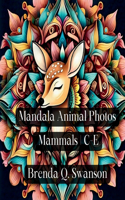 Mandala Animal Photos