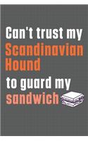 Can't trust my Scandinavian Hound to guard my sandwich: For Scandinavian Hound Dog Breed Fans