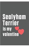 Sealyham Terrier is my valentine