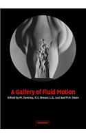 A Gallery of Fluid Motion