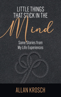 Little Things That Stick In The Mind