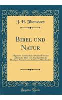 Bibel Und Natur: Allgemein VerstÃ¤ndliche Studien Ã?ber Die Lehren Der Bibel Vom Standpunkte Der Heutigen Naturwissenschaften Und Geschichte (Classic Reprint)