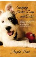 Snapping Shelter Dogs . . . and Cats!