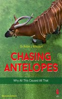 Chasing Antelopes: Why All This Caused All That