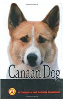 Canaan Dog