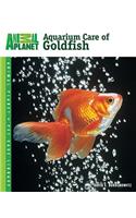 Aquarium Care of Goldfish