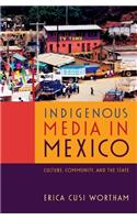 Indigenous Media in Mexico: Culture, Community, and the State(English)