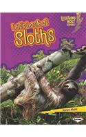 Let's Look at Sloths