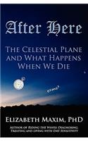 After Here: The Celestial Plane and What Happens When We Die