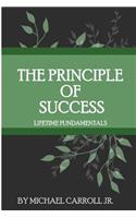 Principle of Success
