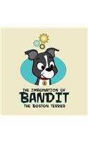 The Imagination of Bandit the Boston Terrier
