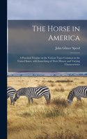Horse in America