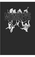 Monkey Hanging