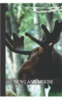 Newland Moose: small lined Moose Notebook / Travel Journal to write in (6'' x 9'') 120 pages