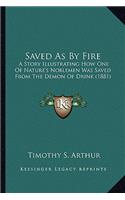 Saved As By Fire: A Story Illustrating How One Of Nature's Noblemen Was Saved From The Demon Of Drink (1881)