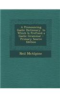 A Pronouncing Gaelic Dictionary. to Which Is Prefixed a Gaelic Grammar - Primary Source Edition