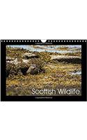 Scottish Wildlife 2018