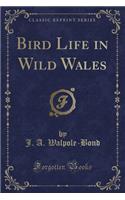 Bird Life in Wild Wales (Classic Reprint)
