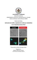 Activación de IL23A y represión de IL12A por metabolitos en la respuesta inmune Th17