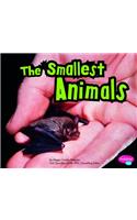 The Smallest Animals