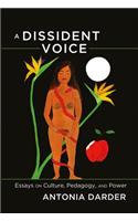 Dissident Voice: Essays on Culture, Pedagogy, and Power