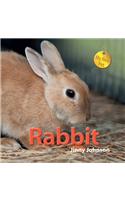 My New Pet: Rabbit