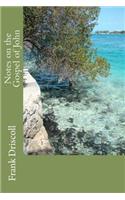 Notes on the Gospel of John