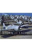 Storm of Eagles