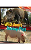 Wild Boars and Teacup Pigs