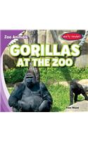 Gorillas at the Zoo