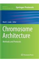 Chromosome Architecture