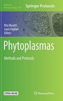 Phytoplasmas