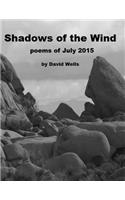 Shadows of the Wind