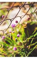Blooming Purple Chives Journal
