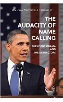 Audacity of Name Calling: President Obama and the Detractors