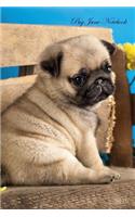 Pug June Notebook Pug Record, Log, Diary, Special Memories, To Do List, Academic Notepad, Scrapbook & More