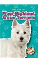 West Highland White Terriers