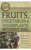 How to Grow Fruits, Vegetables & Houseplants without Soil