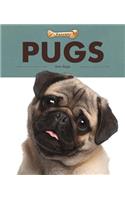 Pugs