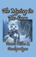 Mystery In The Snow