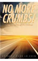 No More Crumbs!