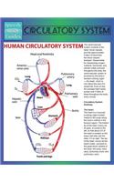 Circulatory System (Speedy Study Guide)