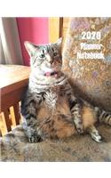 2020 Planner Notebook: Funny Cat Planner Book With Monthly and Weekly Calendars, Monthly Habit Tracker, Vision Board and Brain Dump Sheets