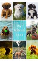 My Address Book: Dog Cover - Address Book for Names, Addresses, Phone Numbers, E-mails and Birthdays
