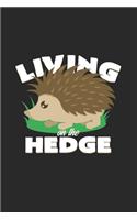 Living on the hedge
