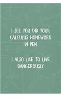 I See You did Your Calculus Homework In Pen I Also Like To Live Dangerously